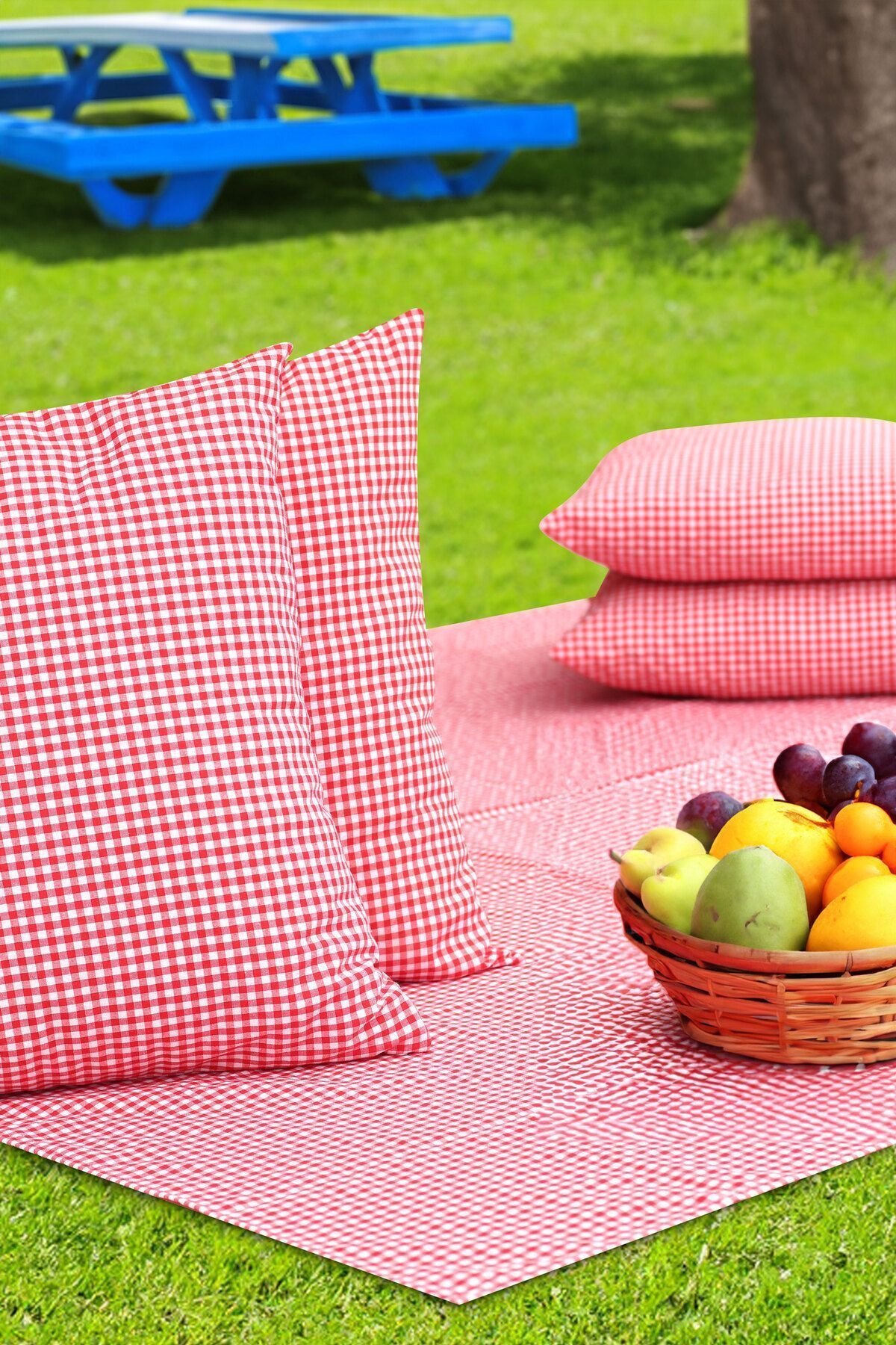 Kırmızı Pötikareli Küçük Kareli Piknik Örtüsü 170*170 Ve 2 Adet Piknik Minderi 50*50cm Piknik Seti