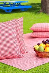 Kırmızı Pötikareli Küçük Kareli Piknik Örtüsü 170*170 Ve 2 Adet Piknik Minderi 50*50cm Piknik Seti